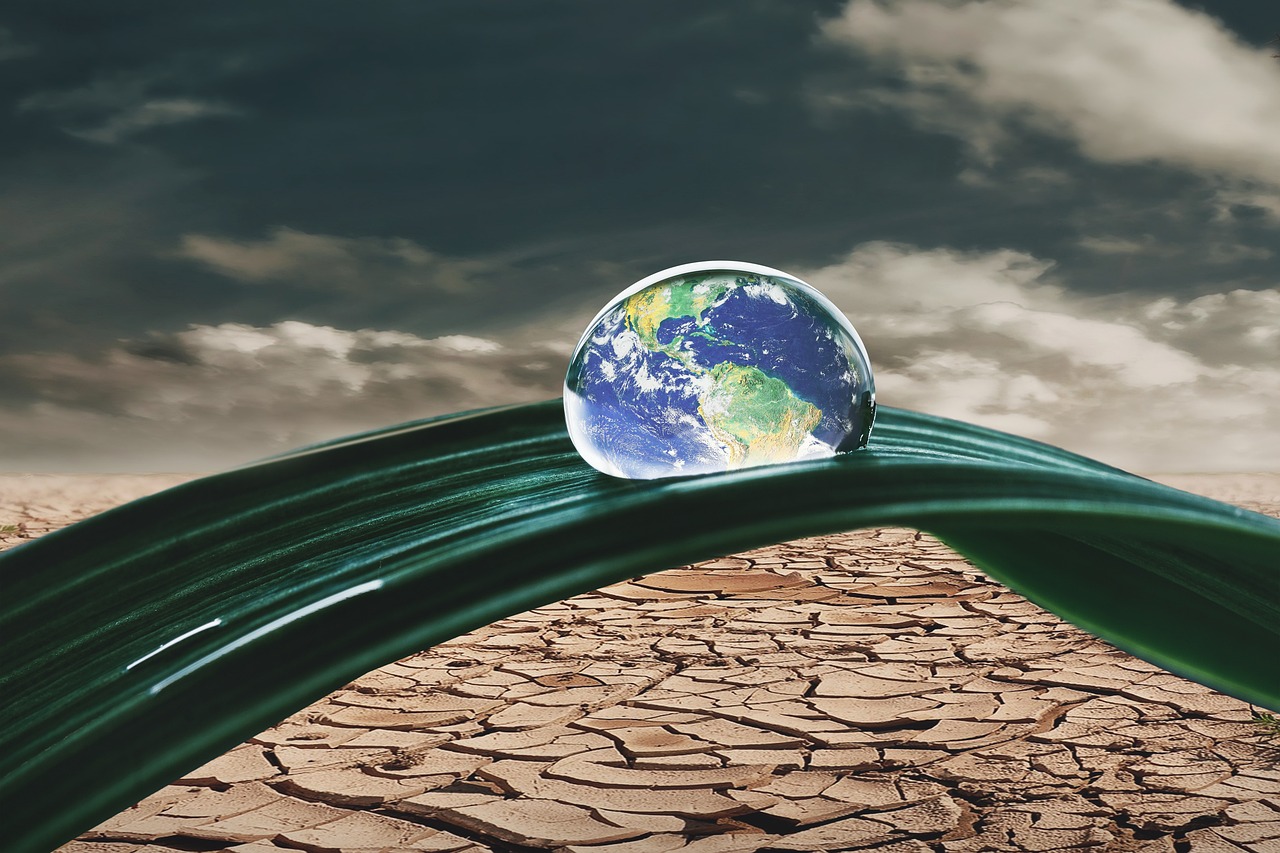 What Does a Climate-friendly Diet Look Like?